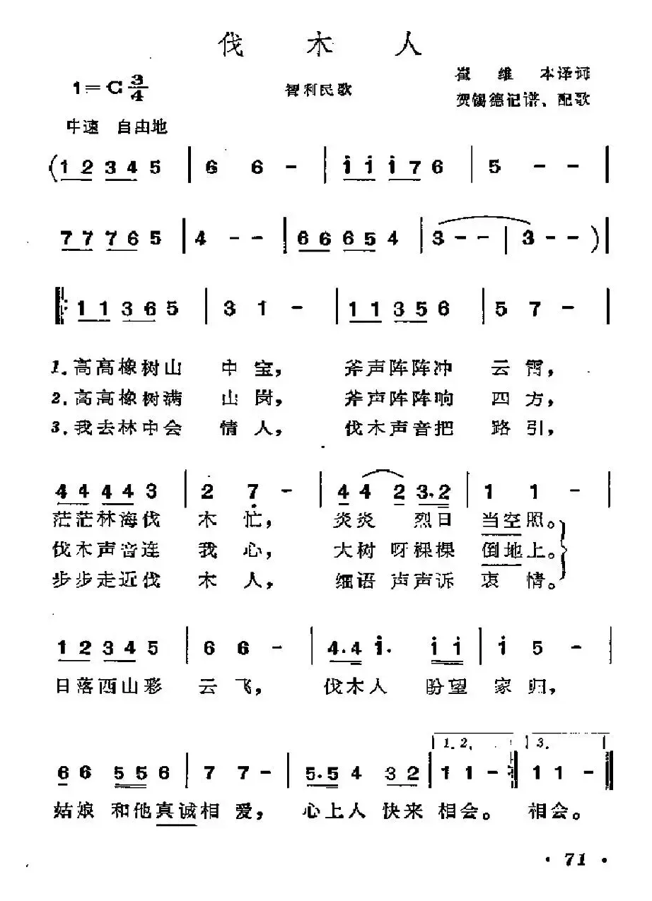 [智利]伐木人